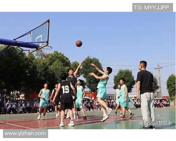 打篮球能否促进身高增长的科学探讨与运动效果分析